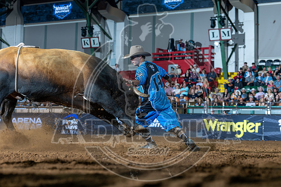 Media Ariat Boot Trot 065