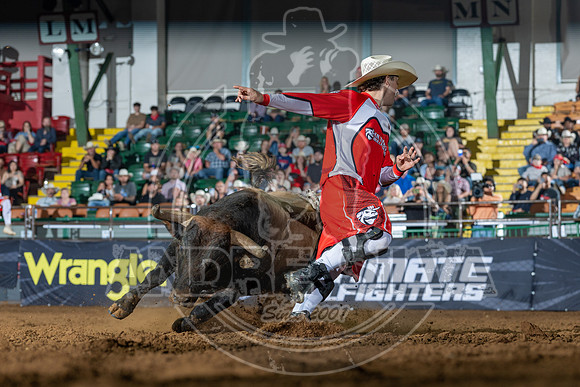 Media Ariat Boot Trot 067