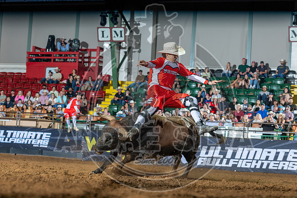 Media Ariat Boot Trot 068