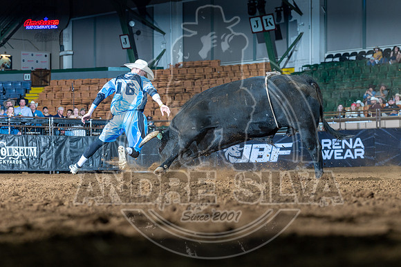 Media Ariat Boot Trot 069