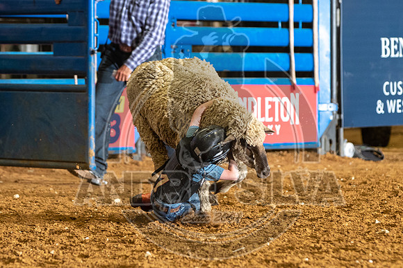 2020_06_13_Mesquite__027_Silva