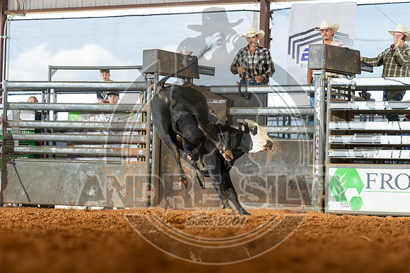 2026_May_23_ABBI_014
