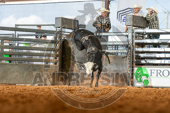 2026_May_23_ABBI_015