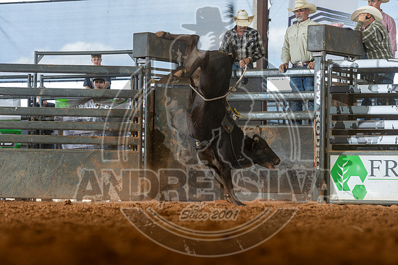 2026_May_23_ABBI_019