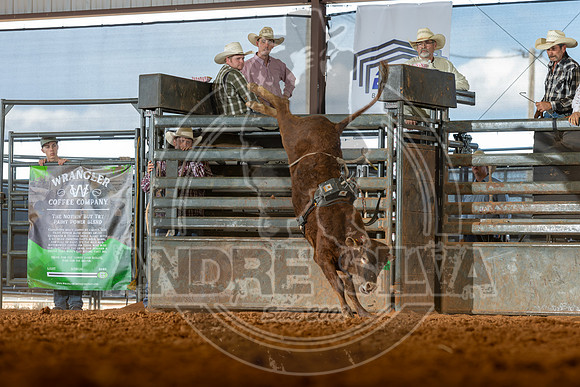 2026_May_23_ABBI_021