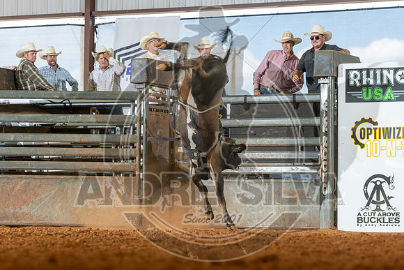 2026_May_23_ABBI_024