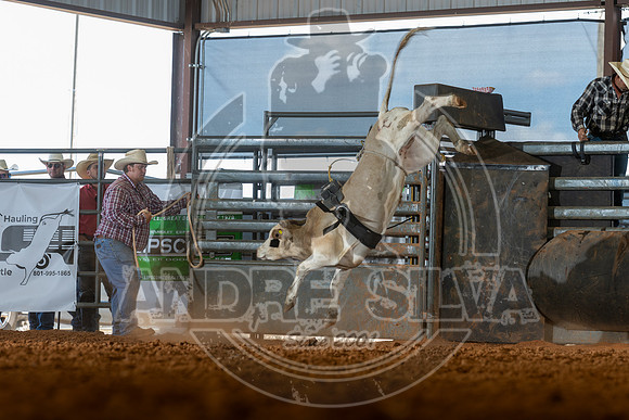2026_May_23_ABBI_032