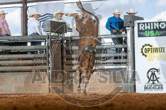 2026_May_23_ABBI_043