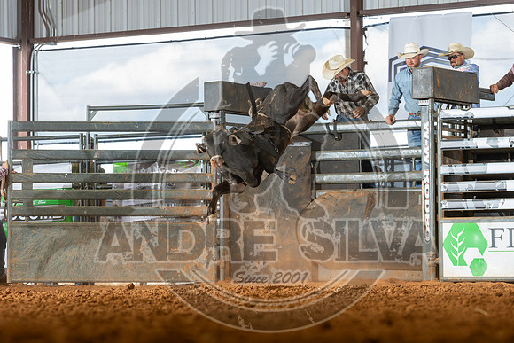 2026_May_23_ABBI_047