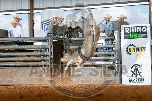 2026_May_23_ABBI_053