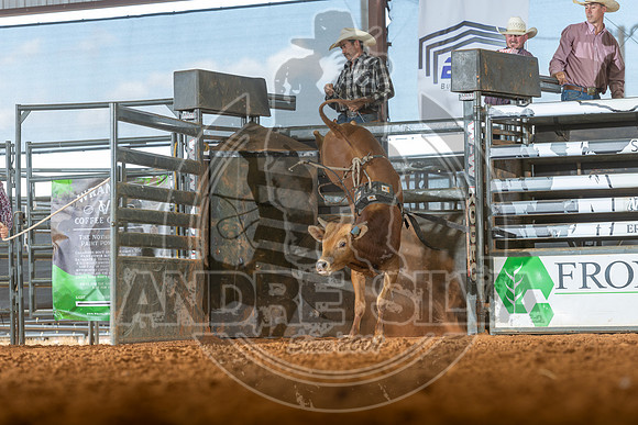 2026_May_23_ABBI_096