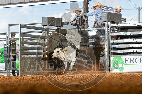 2026_May_23_ABBI_102