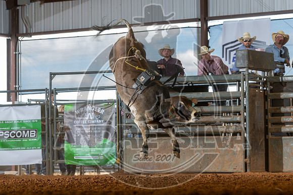 2026_May_23_ABBI_109