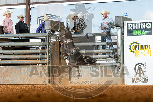 2026_May_23_ABBI_115