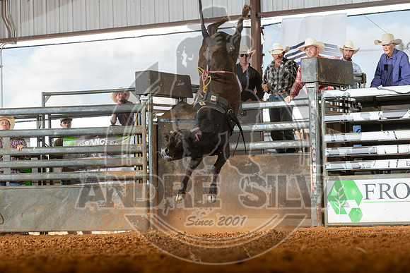 2026_May_23_ABBI_121