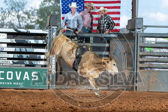 2026_May_23_ABBI_136