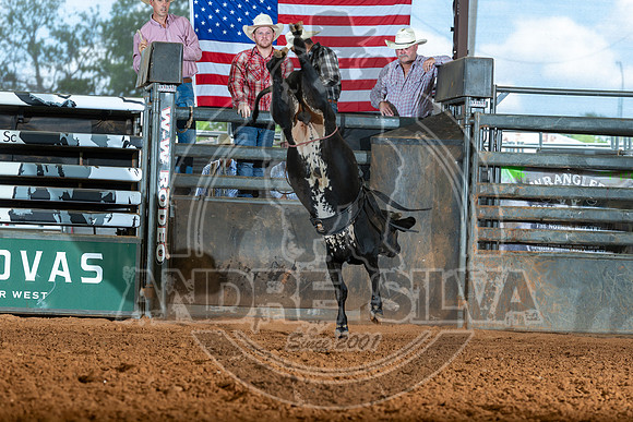 2026_May_23_ABBI_149