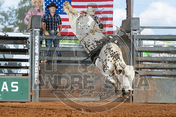 2026_May_23_ABBI_152