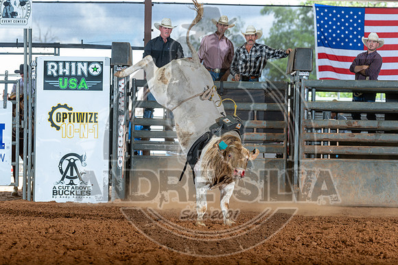 2026_May_23_ABBI_161