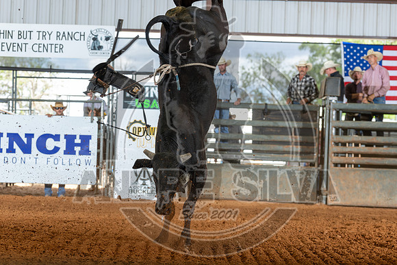 2026_May_23_ABBI_163