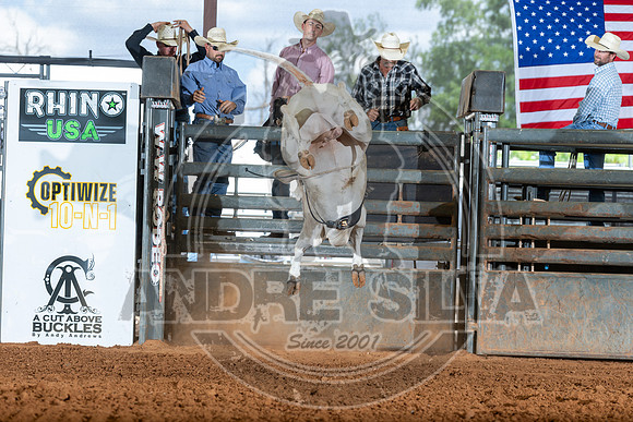 2026_May_23_ABBI_168