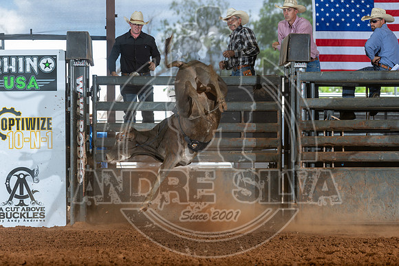 2026_May_23_ABBI_174
