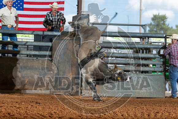 2026_May_23_ABBI_178