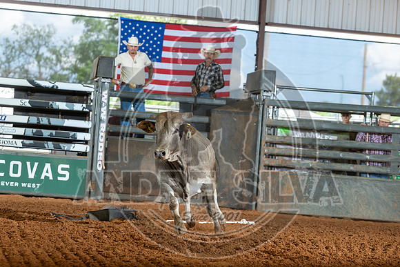 2026_May_23_ABBI_180