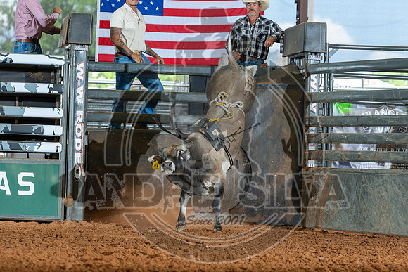 2026_May_23_ABBI_179