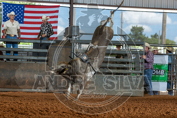2026_May_23_ABBI_182