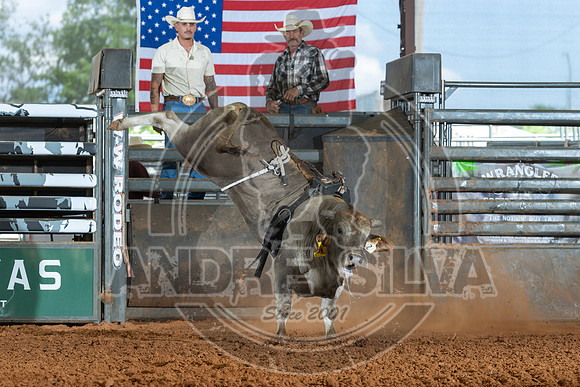 2026_May_23_ABBI_183