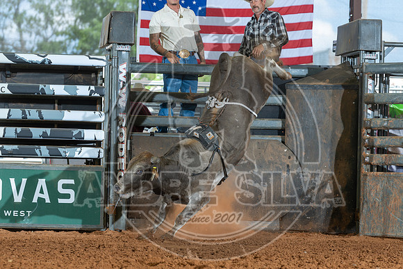 2026_May_23_ABBI_184