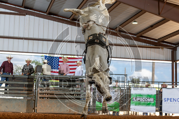 2026_May_23_ABBI_187