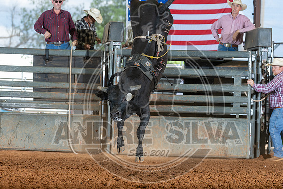2026_May_23_ABBI_185