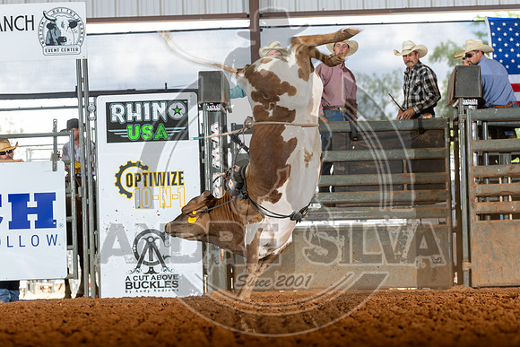 2026_May_23_ABBI_197