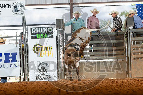 2026_May_23_ABBI_198