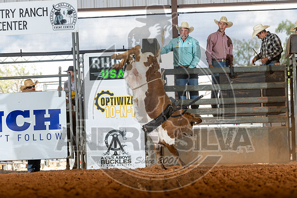 2026_May_23_ABBI_199