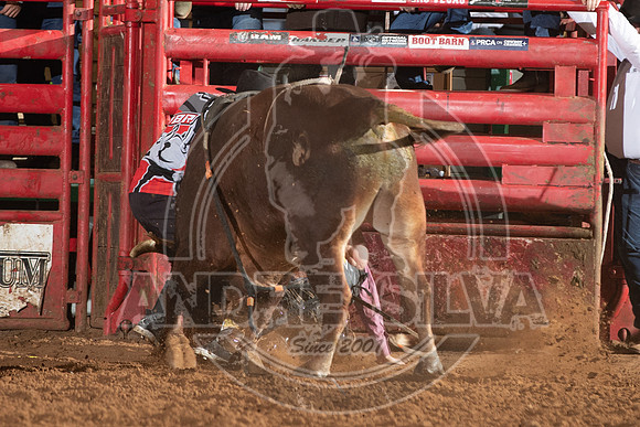 2021_Jan_01_ABBI_264