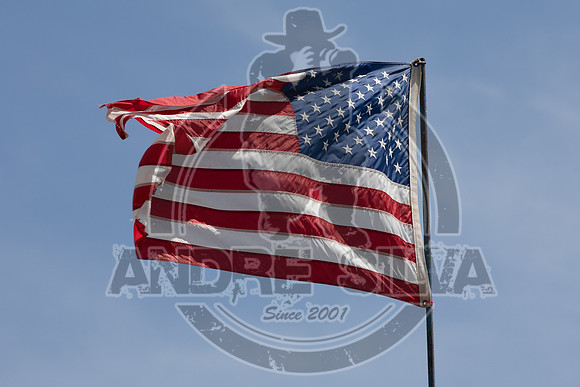 2021_May_08_PBR_Cassvile_TX_060