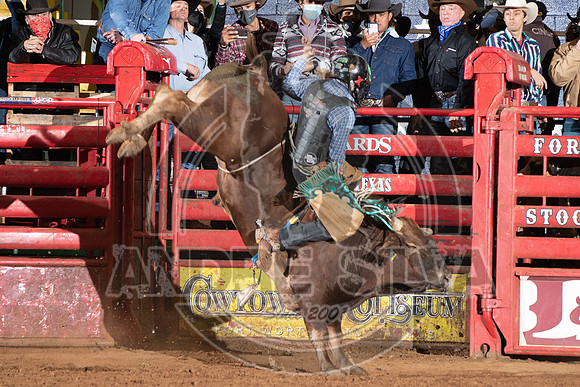 2021_Jan_01_ABBI_065