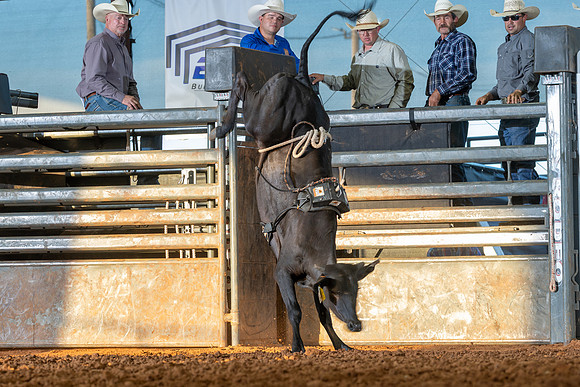 2026_June_20_Erick_OK_205
