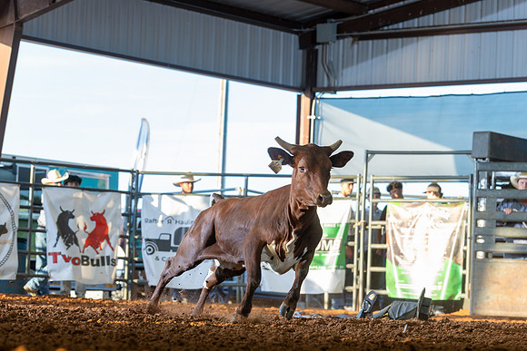 2026_June_20_Erick_OK_237