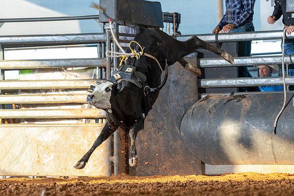 2026_June_20_Erick_OK_243