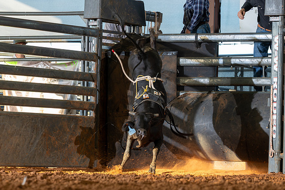 2026_June_20_Erick_OK_250