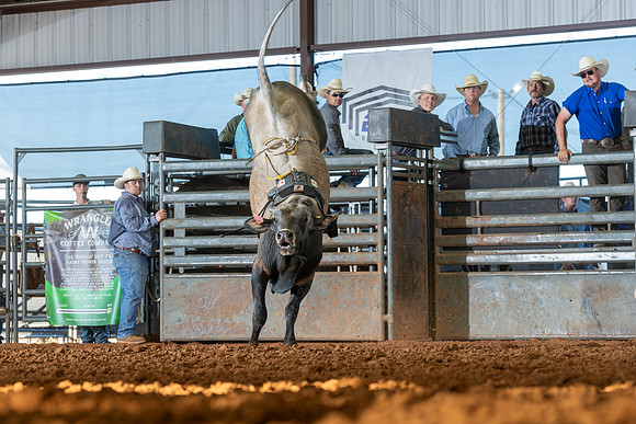 2026_June_20_Erick_OK_319