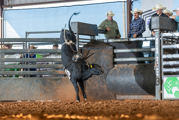 2026_June_20_Erick_OK_325