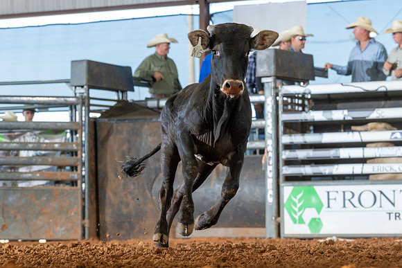 2026_June_20_Erick_OK_331