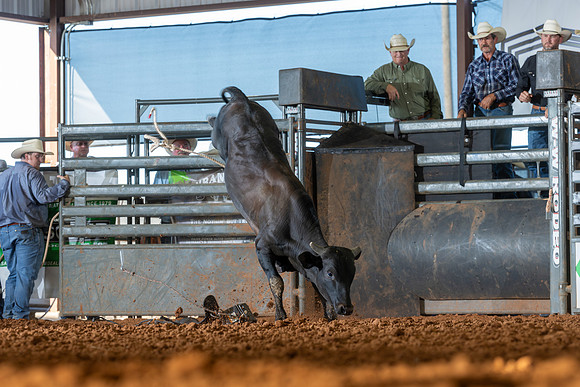 2026_June_20_Erick_OK_346