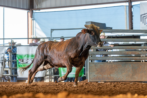 2026_June_20_Erick_OK_359
