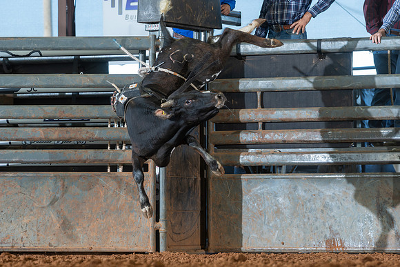 2026_June_20_Erick_OK_363